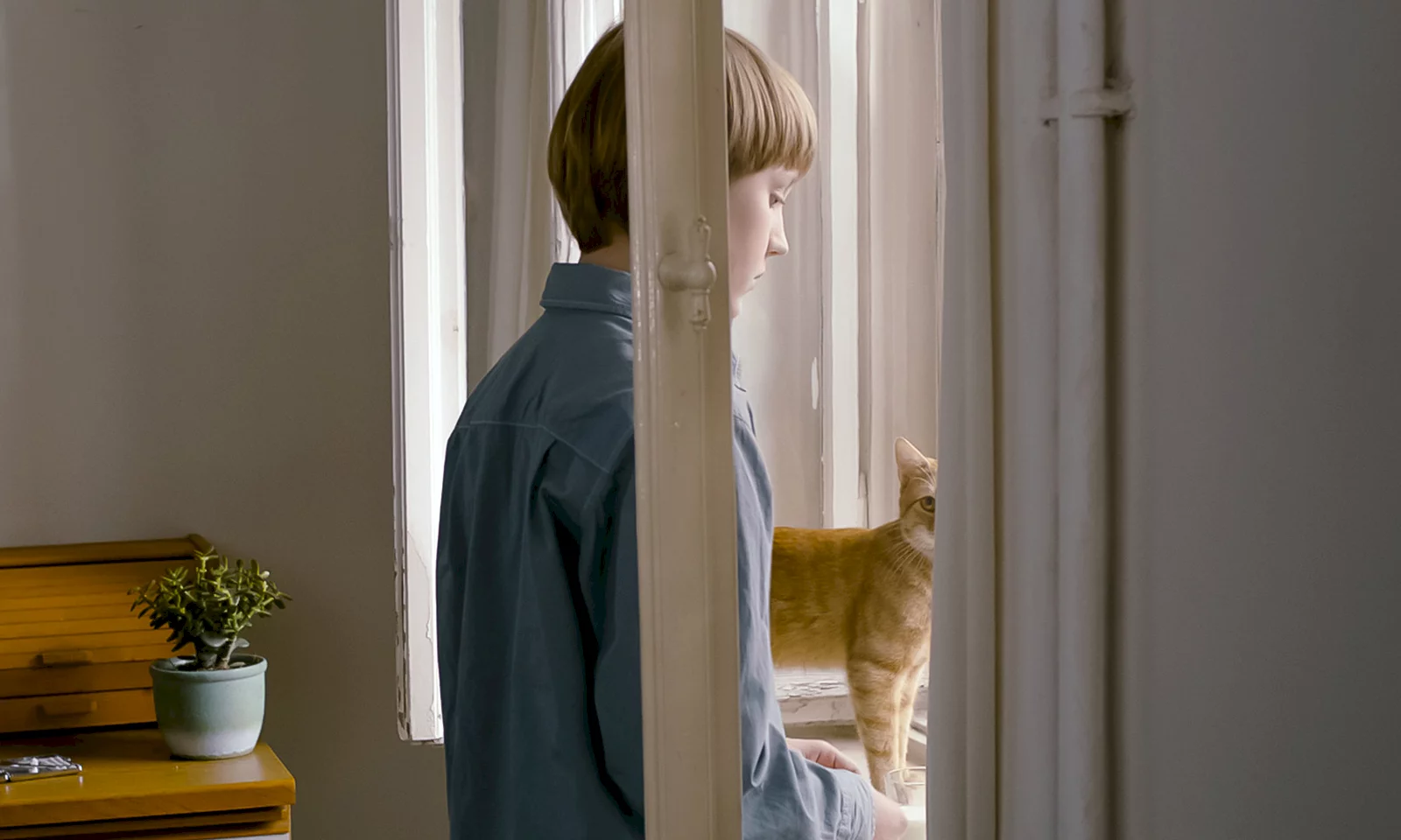 Photo du film : L'étrange petit chat