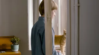 Affiche du film : L'étrange petit chat
