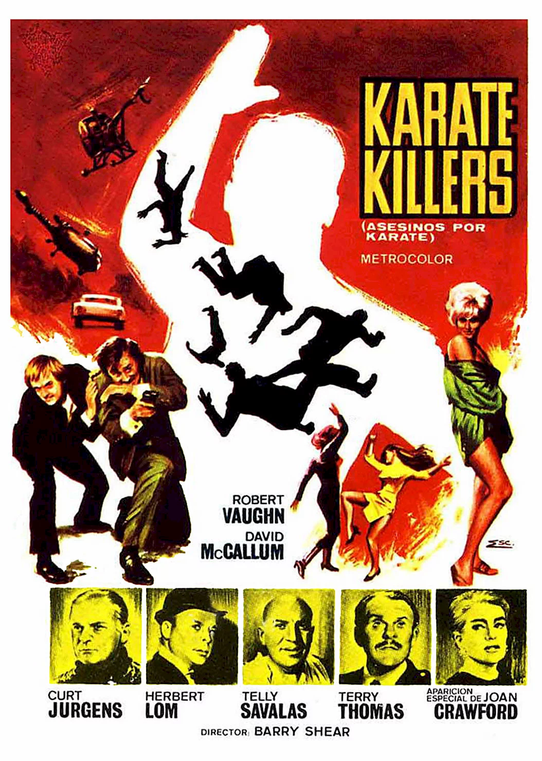 Photo 1 du film : Tueurs au karate
