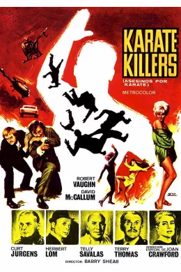 Affiche du film Tueurs au karate