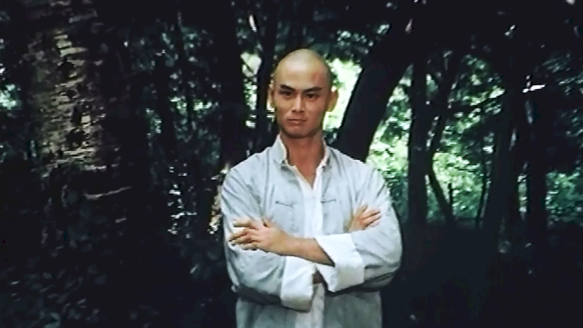 Photo 2 du film : Shaolin contre mantis