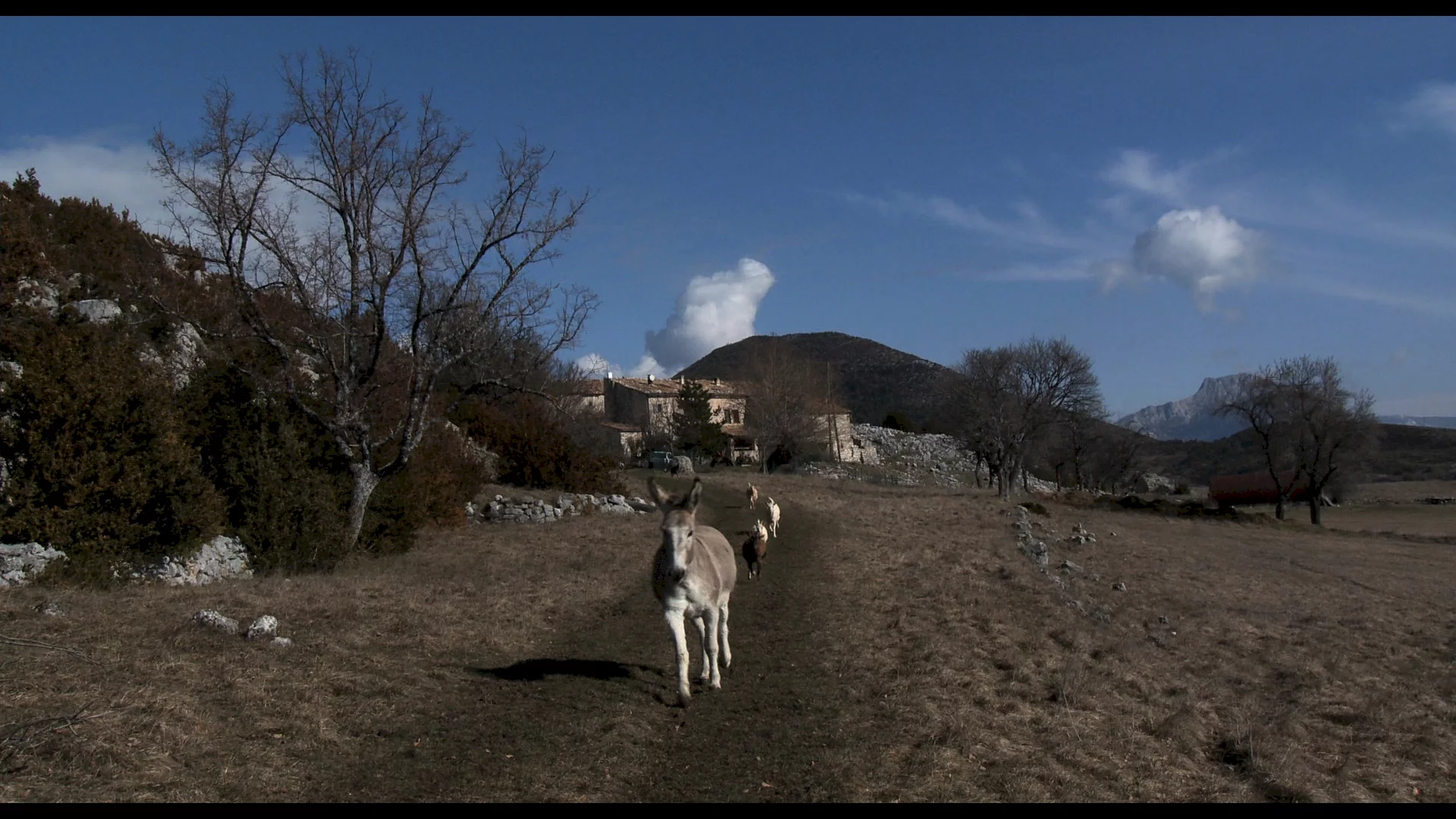 Photo 4 du film : Les Chèvres de ma mère
