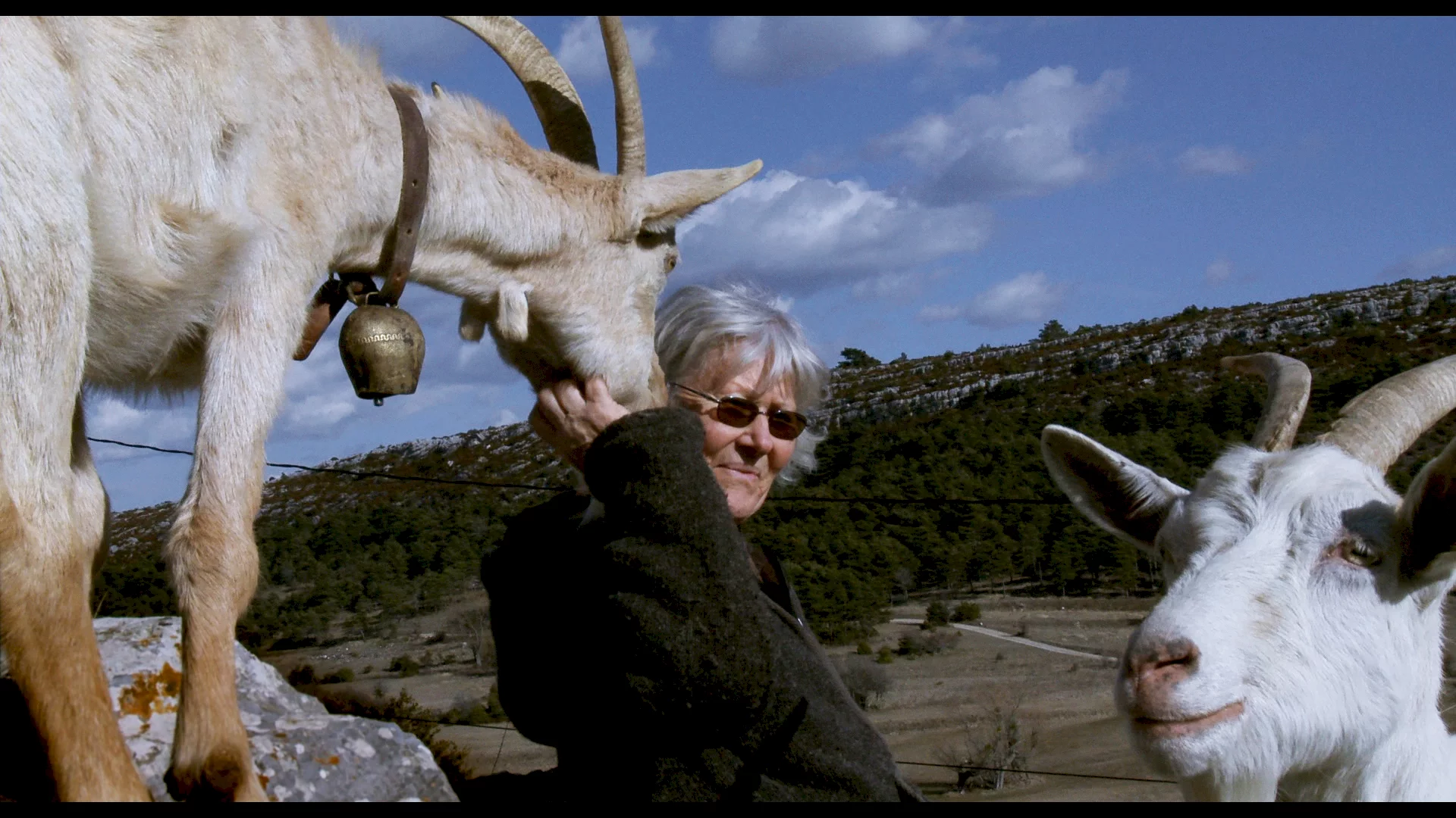 Photo 6 du film : Les Chèvres de ma mère