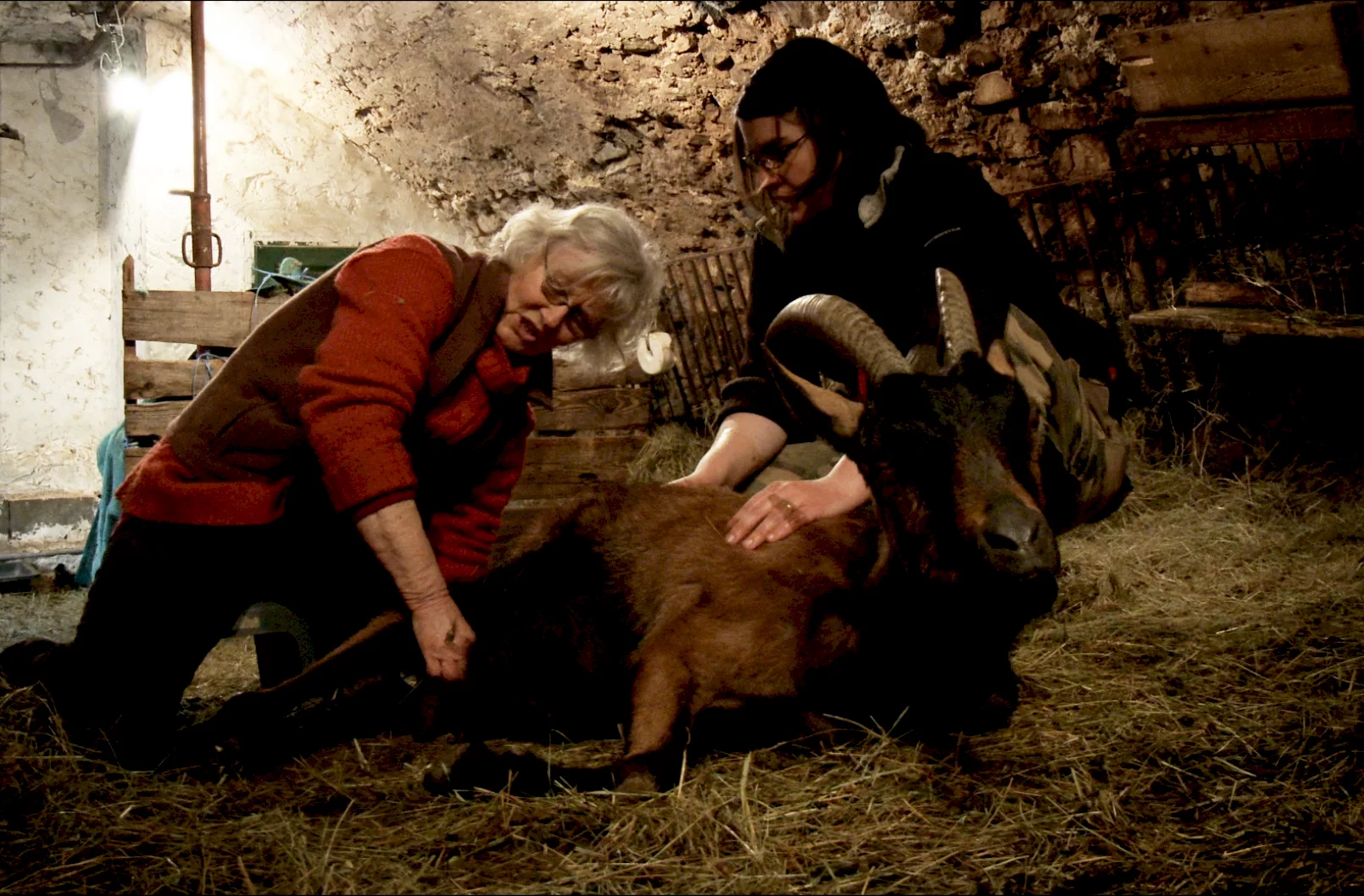 Photo du film : Les Chèvres de ma mère