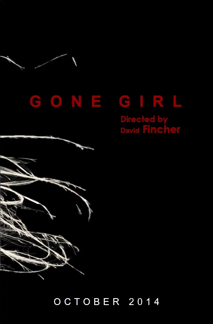 Photo 7 du film : Gone Girl