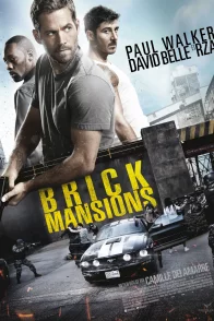 Affiche du film : Brick Mansions