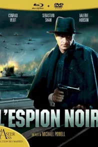 Affiche du film : L'espion noir