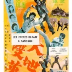 Photo du film : Les freres karate a bangkok