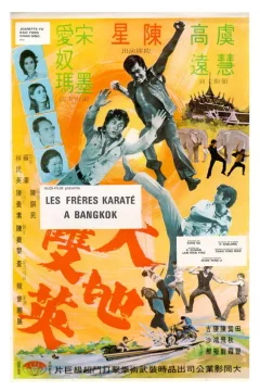 Affiche du film = Les freres karate a bangkok