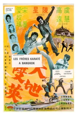 Affiche du film Les freres karate a bangkok