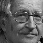 Photo du film : Chomsky, les médias et les illusions nécessaires