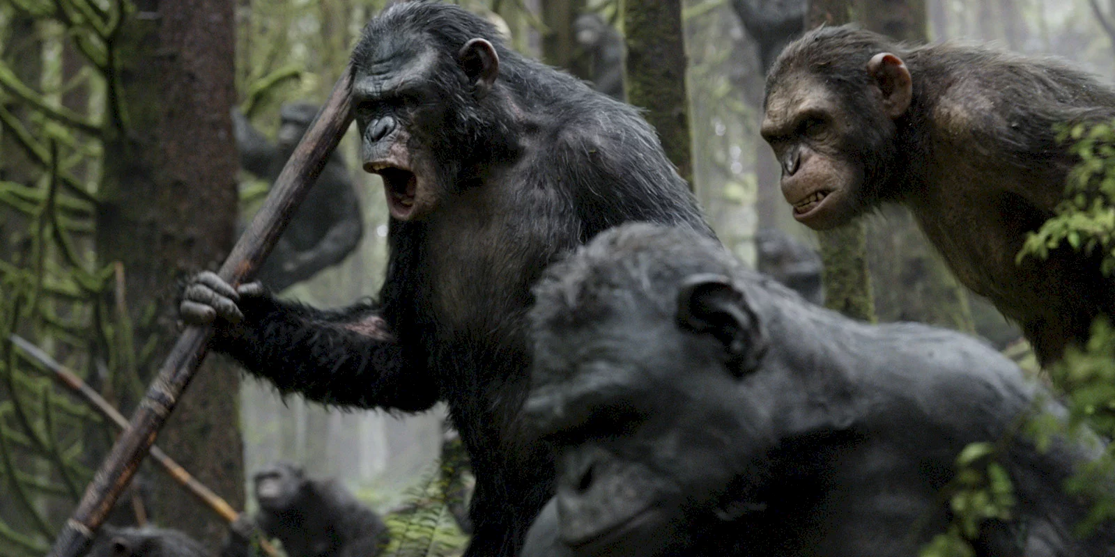Photo 4 du film : La planète des singes : l'affrontement