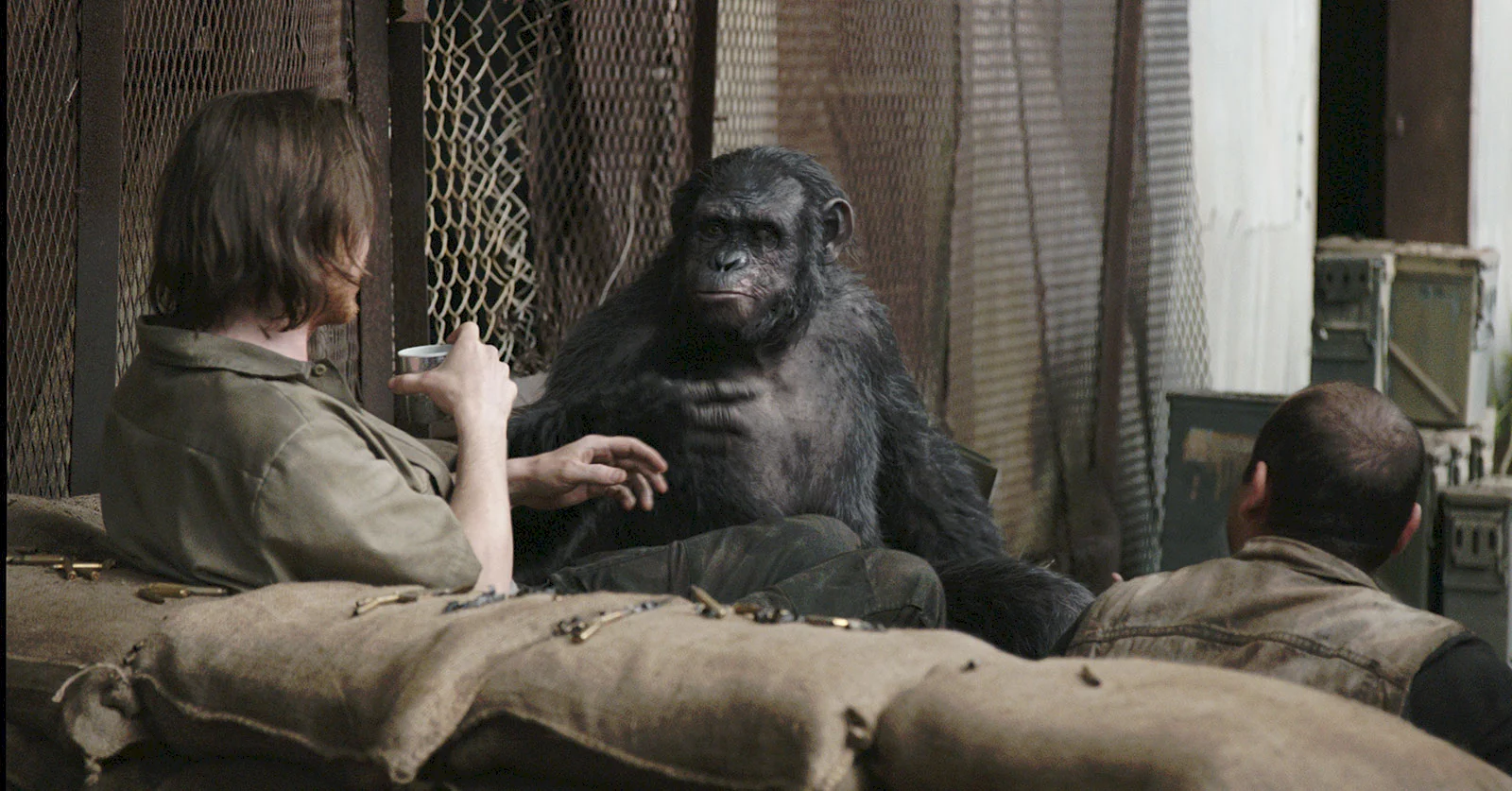 Photo 6 du film : La planète des singes : l'affrontement