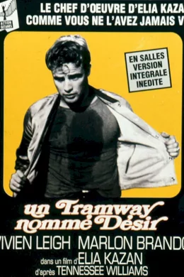 Affiche du film Un tramway nommé désir