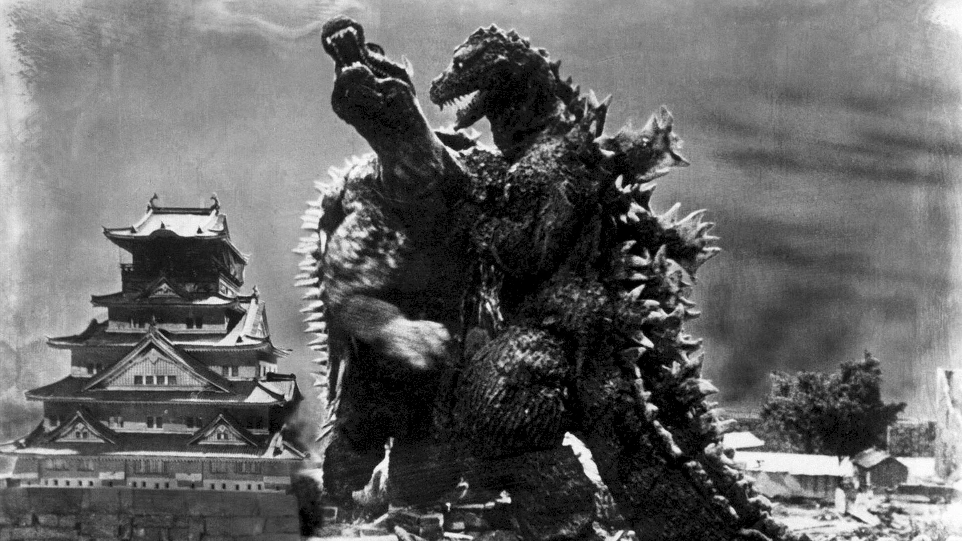 Photo 1 du film : Le retour de Godzilla