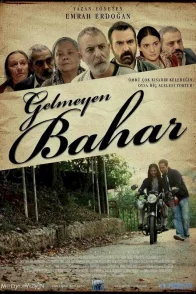 Affiche du film : Gelmeyen Bahar