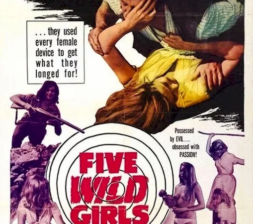 Photo du film : Cinq filles en furie