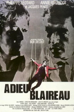 Affiche du film Adieu blaireau