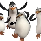 Photo du film : Les Pingouins de Madagascar