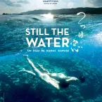 Photo du film : Still the water