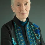 Photo star :  Jane Goodall