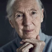  Jane Goodall
